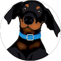Grit Force Digital Marketing Agency & SEO Services Treasure Coast - Fort Pierce, Florida