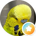 ハントシ
