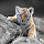 Abhishek Pandey's profile photo