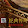 leg...@magicalboy.com's profile photo