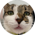 Avatar de Enzo.