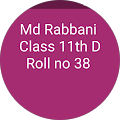 MD Rabbani khurshid Class 11th D Roll no 38