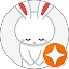 Usagi