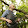Endre Sámson Kiss's profile photo