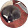 Coates Grayson profile picture