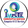 impute concept