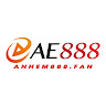 ANHEM888