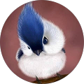 Avatar de Pascal.
