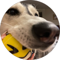 Community member