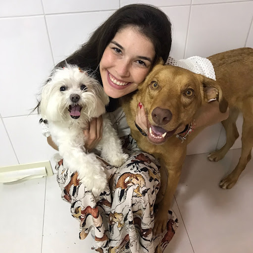 Instituto PAV Programa de Aprimoramento Veterinário (pavcursos) — foto 5