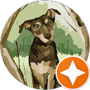 Reviewer profile