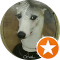 Avatar de Evelyne.i