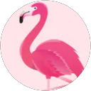ToniLynn Bilotta's profile image