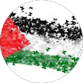 sabreen assaf