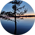 Elektro Thies - Dießen am Ammersee