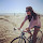 lang...@gmail.com's profile photo