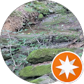WAVERLY REAL ESTATE GROUP,LLC - Ellicott City, Maryland