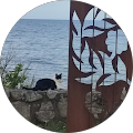 Avatar du profil de cé Line