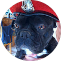 Avatar de FREDERIC.H