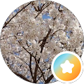 がゆ