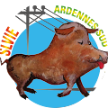 Avatar de Slv.