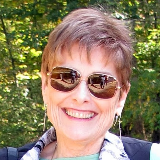 judi freed