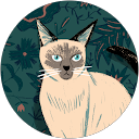 user_profile
