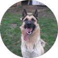 Avatar de cedric.e