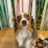 Photo de Kirii