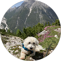 HUNDE-EINFACH - Hohenstein
