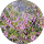 balbina vigganna profile picture