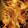 Marco Antonio's profile photo