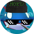 Avis de Hozix.e avec une note de 5 sur 5