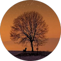 Avatar de Sébastien.o