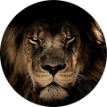Avatar de ludivine.o