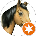 Avis de horse_power. avec une note de 4 sur 5