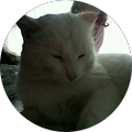 Avatar de mounir.o
