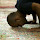 Mahmoud Wahdan's profile photo