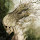 Vampy Phan's profile photo