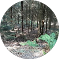 Avatar de Guillaume.e