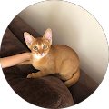 Review author photo