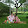 Cien Ping's profile photo
