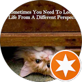 User profile - Oliva Montero.