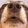 Rolf Edlund's profile photo