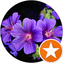 Christina B.'s profile image
