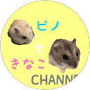 ピノときなこchannel