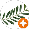 Gute Stube Bürgerverein Fennpfuhl - Berlin
