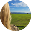 MIKE´s Fitness & Coaching - Hutthurm