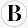 Brian Powell's profile photo