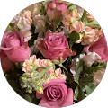 WCD Estate Sales Liquidations and Clean-Outs - Milford, Connecticut